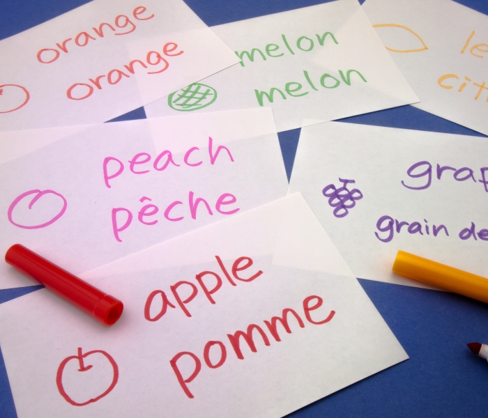 French: beginners part 2