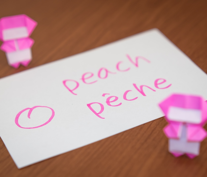 French: intermediate part 3